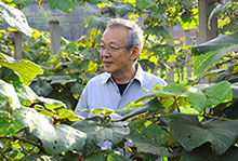 ◯in◯　岩手県産胡桃樹皮　山葡萄① Amazon.co.jp: 秋田県 くるみ 樹皮 山葡萄 蔓 花器 品番357